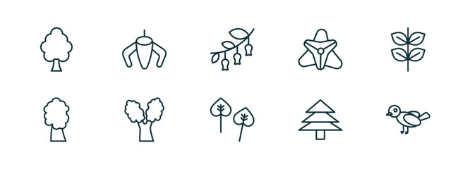 Poster - set of 10 linear icons from nature concept. outline icons such as american elm tree, ylang-ylang, hawthorn, poplar, pine tree, bird vector
