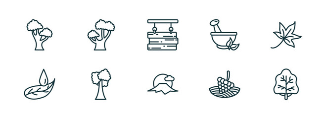 Poster - set of 10 linear icons from nature concept. outline icons such as black oak tree, chestnut oak tree, wood board, sun fuji mountain, vineyard, white ash tree vector