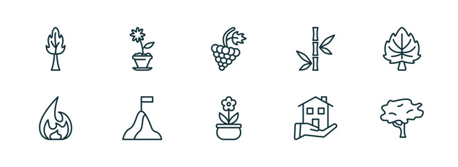 Poster - set of 10 linear icons from nature concept. outline icons such as the maples tree, daisy on pot, grapevine, plant pot, house for rent, red maple tree vector