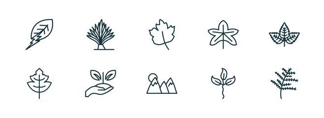 Poster - set of 10 linear icons from nature concept. outline icons such as natural energy, yucca, gooseberry leaf, mountain pse, cuspicate, cypress leaf vector