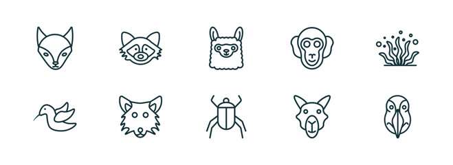 Poster - set of 10 linear icons from animals concept. outline icons such as fox, racoon, llama, beetle, camel, deadlock vector