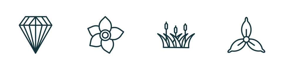 Poster - set of 4 linear icons from nature concept. outline icons included gemstone, narcissus, reed, iris vector