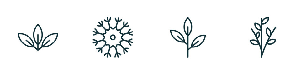 Poster - set of 4 linear icons from nature concept. outline icons included acicular, knapweed, green tea, willow vector