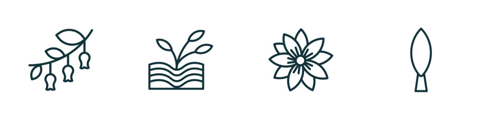 Wall Mural - set of 4 linear icons from nature concept. outline icons included hawthorn, plant growing on book, hypericum, cypress vector