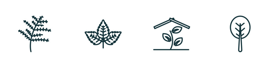 Poster - set of 4 linear icons from nature concept. outline icons included cypress leaf, straberry leaf, indo