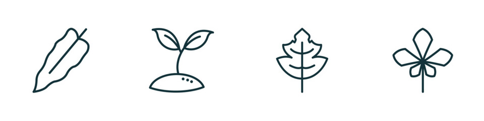 Poster - set of 4 linear icons from nature concept. outline icons included philodendron, seeding, tree leave, chestnut leaf vector