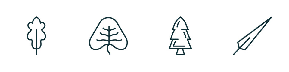 Poster - set of 4 linear icons from nature concept. outline icons included oak leaf, cordate, spruce, subulate vector