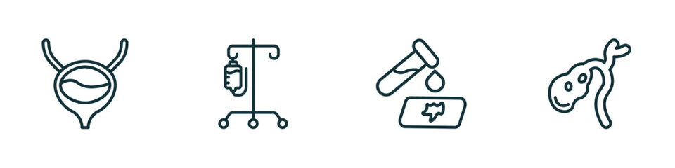 Poster - set of 4 linear icons from medical concept. outline icons included bladder, perfusion, blood analysis, gallbladder vector