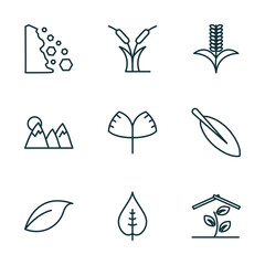 Poster - set of 9 linear icons from nature concept. outline icons such as falling debris, reed bed, grains, o