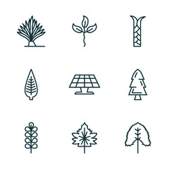 Poster - set of 9 linear icons from nature concept. outline icons such as yucca, cuspicate, escuamiforme, pec