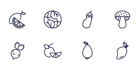 Wall Mural - set of vegetables and fruits thin line icons. vegetables and fruits outline icons such as lemon, cabbage, mushroom, radishes, tangerine, guava, mango vector.