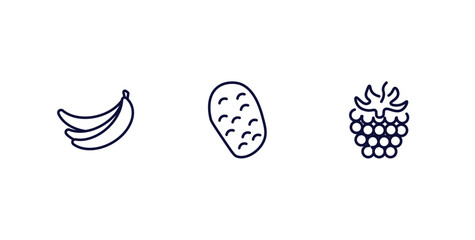 Poster - set of vegetables and fruits thin line icons. vegetables and fruits outline icons included banana, potato, blackberry vector.