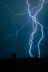 Wall Mural - detailed capture of a lightning bolt hitting the earth