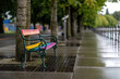 View at the pedestrian path at the promenade along lake constance (Bodensee) at Bregenz, austria, at a rainy day