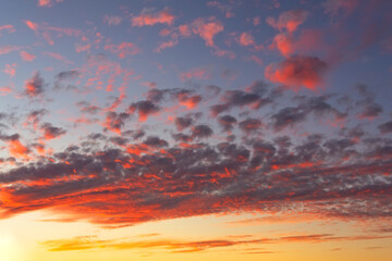 Wall Mural - The sunrise and textured altocumulus clouds with shadows and red light in the morning.