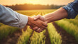 © Alina Tymofieieva - Handshake. Two farmer standing and shaking hands in a wheat field. Agricultural business.