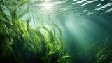 Fototapeta  - Seaweed and natural sunlight underwater seascape in the ocean. landscape with seaweeds. Marine sea bottom. AI photography.