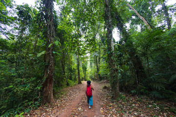 Woman trekking in the Thailand jungle