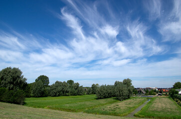 Poster - Landscape of green meadow