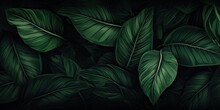 Captivating Nature Palette. Abstract Verdant Green Foliage In Lush Jungle. Detailed Leaves Creating Tropical Paradise Backdrop Of Freshness