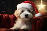 Fototapeta Panele - christmas dog in santa claus hat