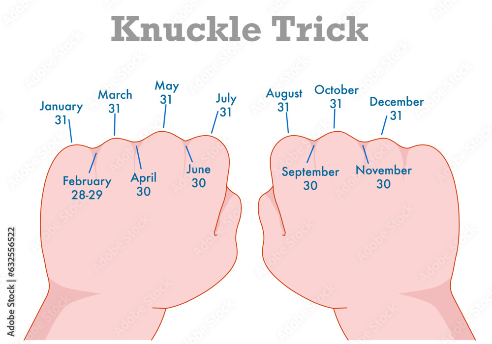 Knuckle mnemonic, handy fist trick, months. How many days 28, 29, 30 ...