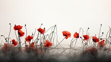 An Art Installation Featuring Red Poppies Amidst Barbed Wire Symbolizing The Victims Of Two World Wars Against A White Sky With Empty Area