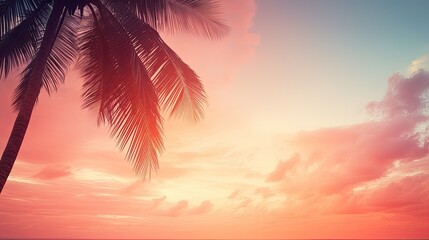Poster - Silhouette palm tree against sunset sky with abstract background Travel adventure concept Filtered pastel tones