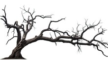 Isolated Dead Tree On White Background
