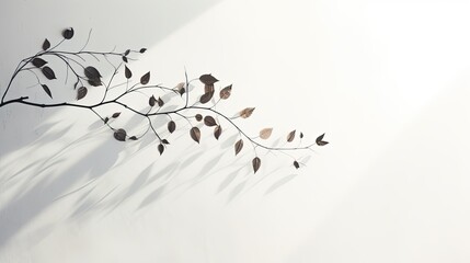 Canvas Print - Shadow of leaves on white background with copy space Blurry leaf shadow in morning sunlight