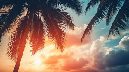 Poster - Silhouette palm tree against sunset sky with abstract background Vintage filter effect
