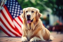 Golden Retriever In The Yard Of American House. The 4th Of July