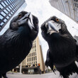 Selfie of two crows in the big city. Fun, meme and animal concept. Generative AI.