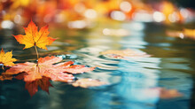 Colorful Autumn Leaves Floating In Pond Or Lake Water. Autumn Leaves In A Rain Puddle During A Sunny Day. October Weather And November Nature Background.

Generative AI.