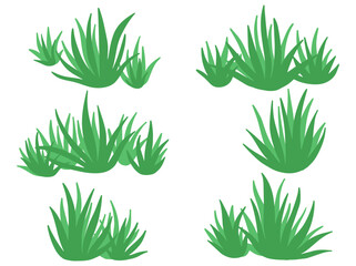 Wall Mural - Shrub Bush Illustration
