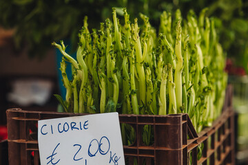 Wall Mural - Fresh raw chicory at the farm market in Puglia