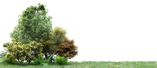 Poster - group of tree isolated on transparent background 3d rendering png