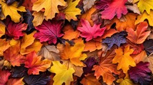 Colorful Autumn Leaves Covering Ground Generative AI