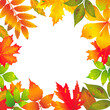 Frame of Seasonal banners of autumnal leaves