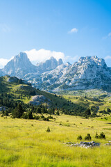 a beautiful green valley on a mountain with peaks in the background