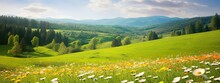 Beautiful Natural Spring Summer Landscape Of A Flowering Meadow In A Hilly Area On A Bright Sunny Day. Many Flowers In A Field In Green Grass. Small Zone Of Sharpness