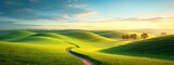Fototapeta Natura - Picturesque winding path through a green grass field in hilly area in morning at dawn against blue sky with clouds. Natural panoramic spring summer landscape