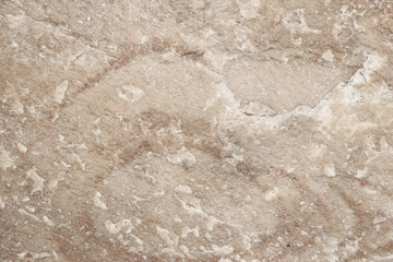 Poster - stone texture background rock gray