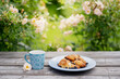 tea in garden with croissants
