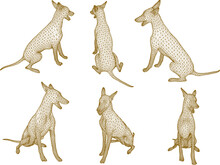 Sketch Vector Illustration Of Pet Hunting Dog Animal