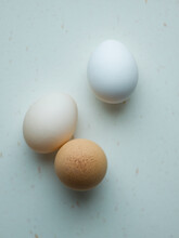 Three Chicken Eggs On White