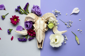 Wall Mural - Composition with skull of sheep and beautiful flowers on color background