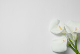 Beautiful calla lilies on white background, flat lay with space for text. Funeral symbol