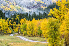Scenic Dirt Road Through Fall Aspens With An Early Snow And Fog Covered Hillside.