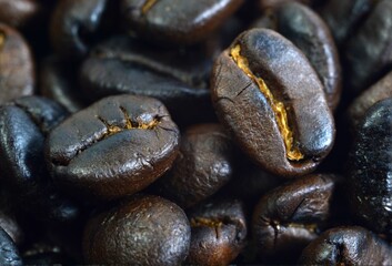 Wall Mural - coffee beans close up